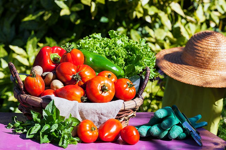 Mapeamento da Agricultura Familiar Orgânica no entorno do COMPERJ